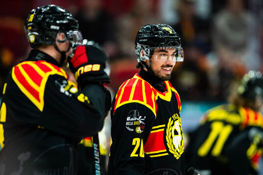 Brynäs Tyler Vesel