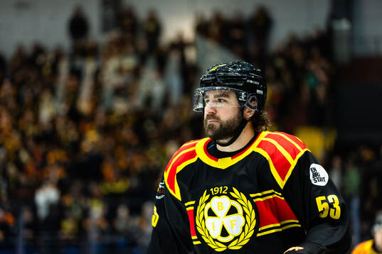 Brynäs Luke Witkowski
