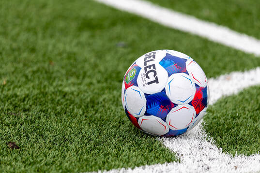 En fotboll