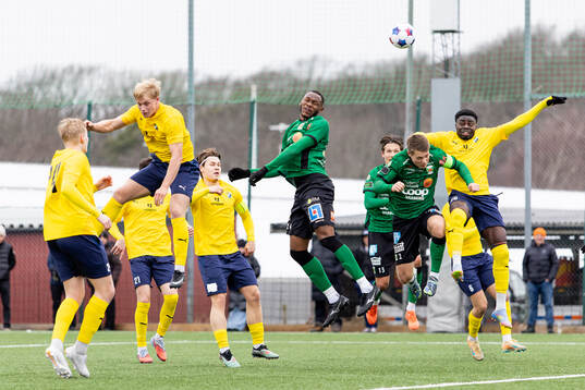 Varbergs Shanyder Borgelin