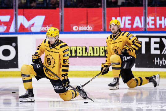 Skellefteås Mikkel Aagaard och Max Krogdahl