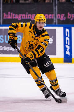 Skellefteås Valter Lindberg