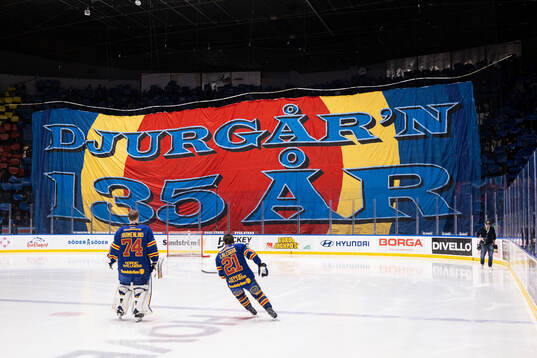 Djurgårdens tifo