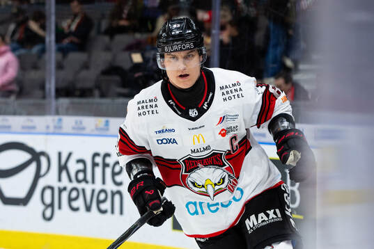 Malmö Redhawks Fredrik Händemark