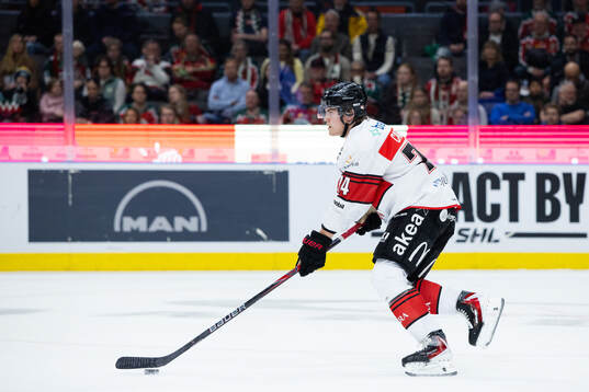 Malmö Redhawks Felix Carell