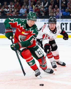 Frölundas Filip Hasa och Malmö Redhawks Petter Vesterheim