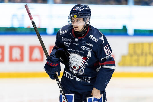 Linköpings Markus Ljungh