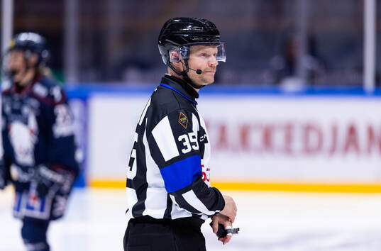 Domare Rikard Wegersjö