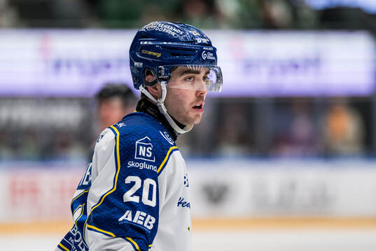 Leksands Nolan Stevens