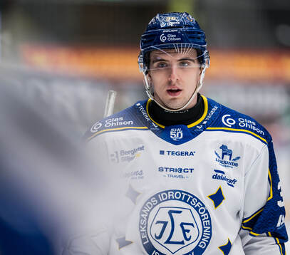 Leksands Stefan Milosevic