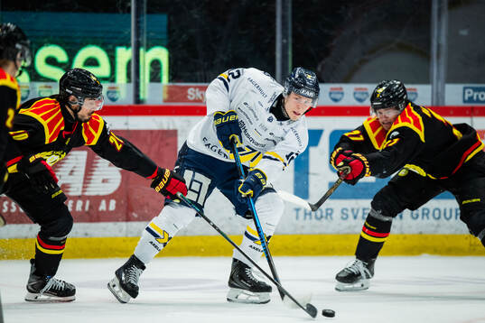 Brynäs Tyler Vesel, HV71s Noel Skarby och Brynäs Mattias