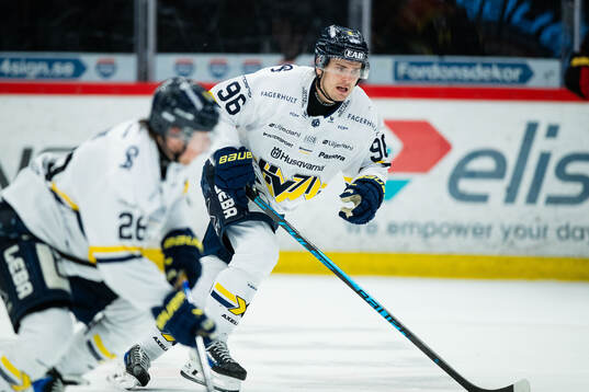 HV71s Nikola Pasic
