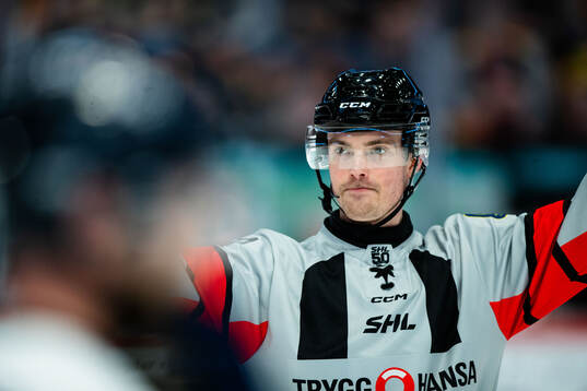 Domare Filip Eriksson