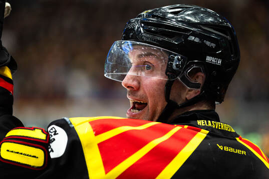 Brynäs Johan Larsson
