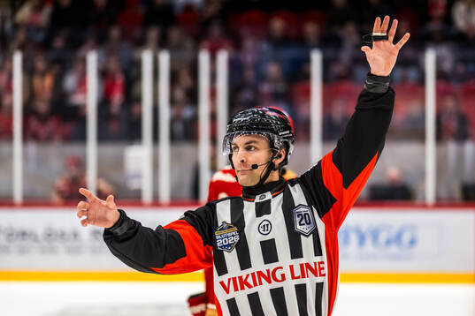 Domare Niclas Lundsgaard