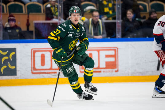 Björklövens Lenni Killinen