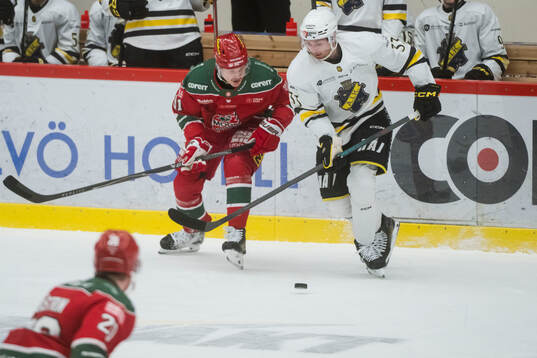 MoDos Victor Berglund och AIKs William Pethrus