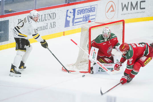 AIKs Scott Pooley och MoDos målvakt Adam Werner samt MoDos