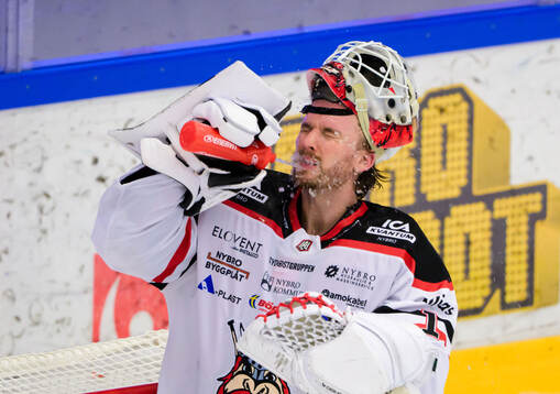 Nybro Vikings målvakt Tex Williamsson