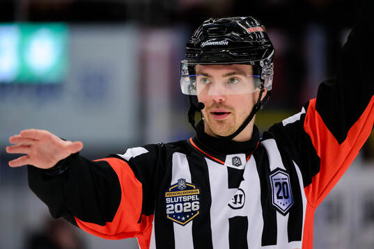 Domare Filip Eriksson