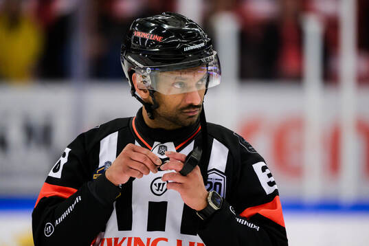 Domare Fredrik Rönnberg