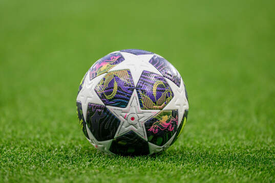 General view of the official ball