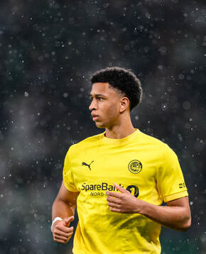 Daniel Bassi  of Bodø/Glimt
