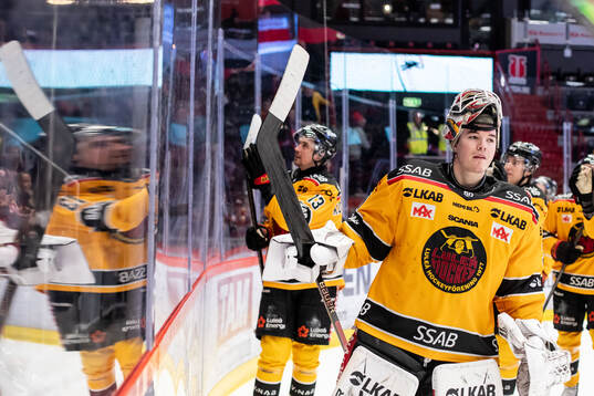 Luleås målvakt Matteus Ward jublar