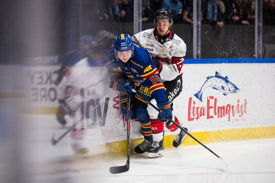Bläddra bland fler bilder av Ishockey, SHL, Åttondelsfinal 1, Djurgården - Malmö Redhawks