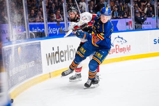 Malmö Redhawks Seth Barton och Djurgårdens Theo