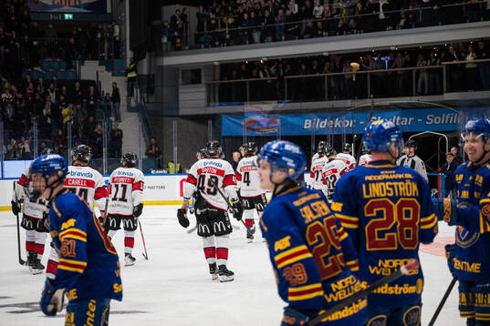 Malmö Redhawks spelare deppar