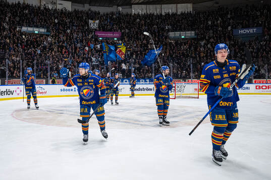 Djurgårdens spelare jublar
