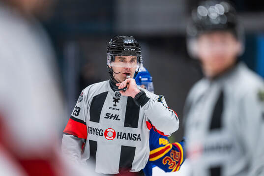 Domare Richard Magnusson