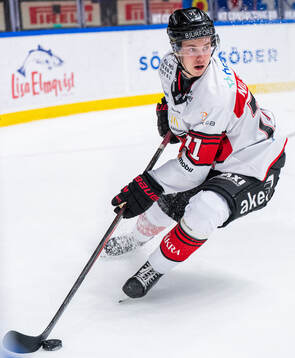 Malmö Redhawks Isac Nilsson