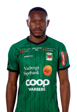 Varbergs Shanyder Borgelin