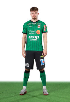 Varbergs Olle Werner