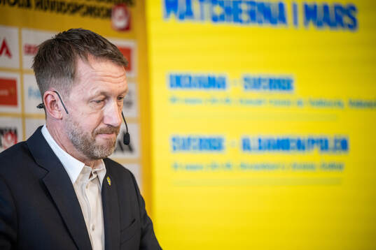 Head coach Graham Potter of the Swedish men's national