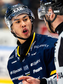 HV71s Jonathan Ang i diskussion med domare