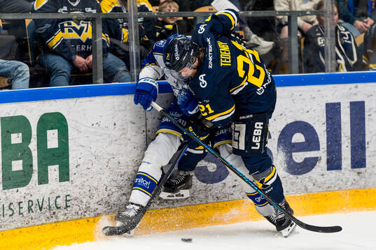 HV71s Mattias Tedenby