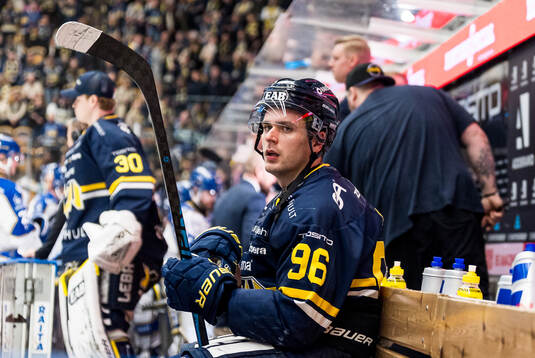 HV71s Nikola Pasic