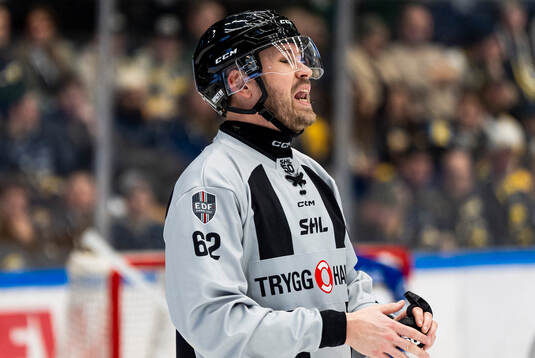 Linjedomare Daniel Persson