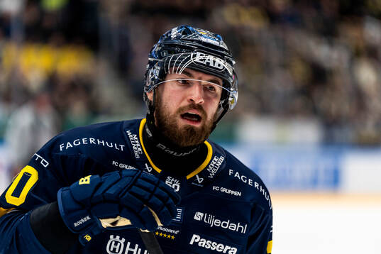 HV71s Lukas Rousek
