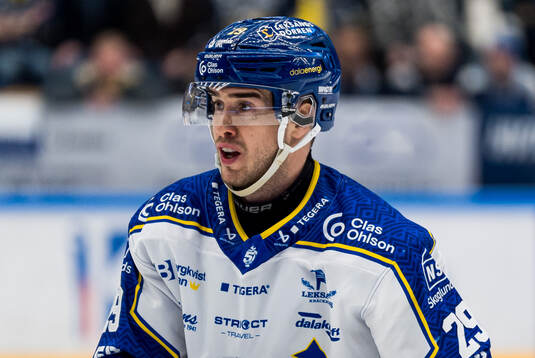 Leksands Michael Lindqvist