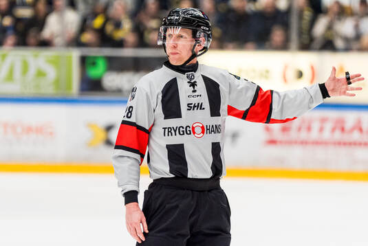 Domare Mikael Holm