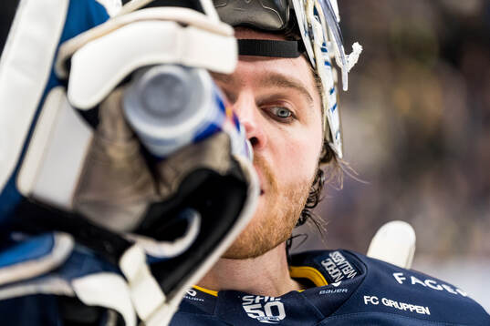 HV71s målvakt Felix Sandström