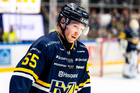 HV71s Andreas Borgman