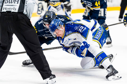HV71s Lukas Rousek och Leksands Lukas Vejdemo