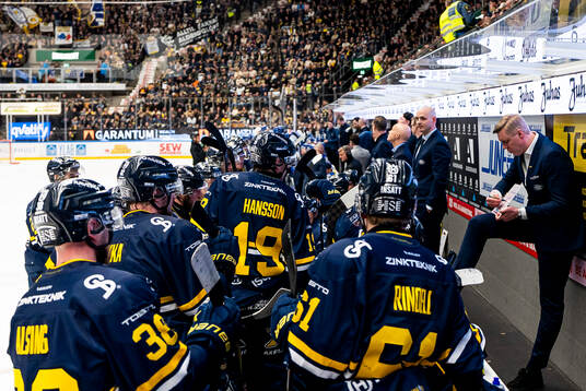 HV71s tränare Anton Blomqvist