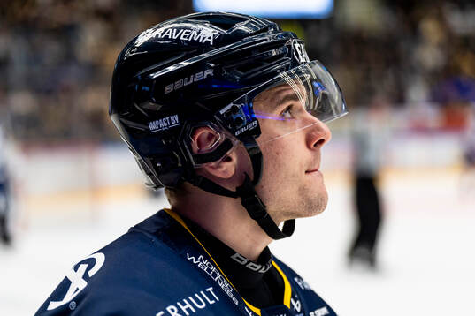 HV71s Nikola Pasic