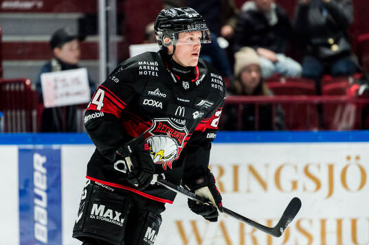Malmö Redhawks Filip Björkman